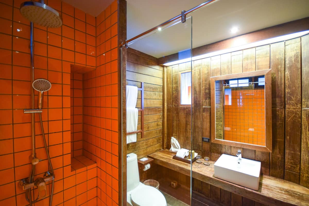 shower, free toiletries, hair dryer, slippers