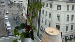 Vistas a la calle