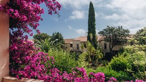 A courtyard with vibrant pink bougainvillea flowers, a tall cypress tree, and a building with a tiled roof.