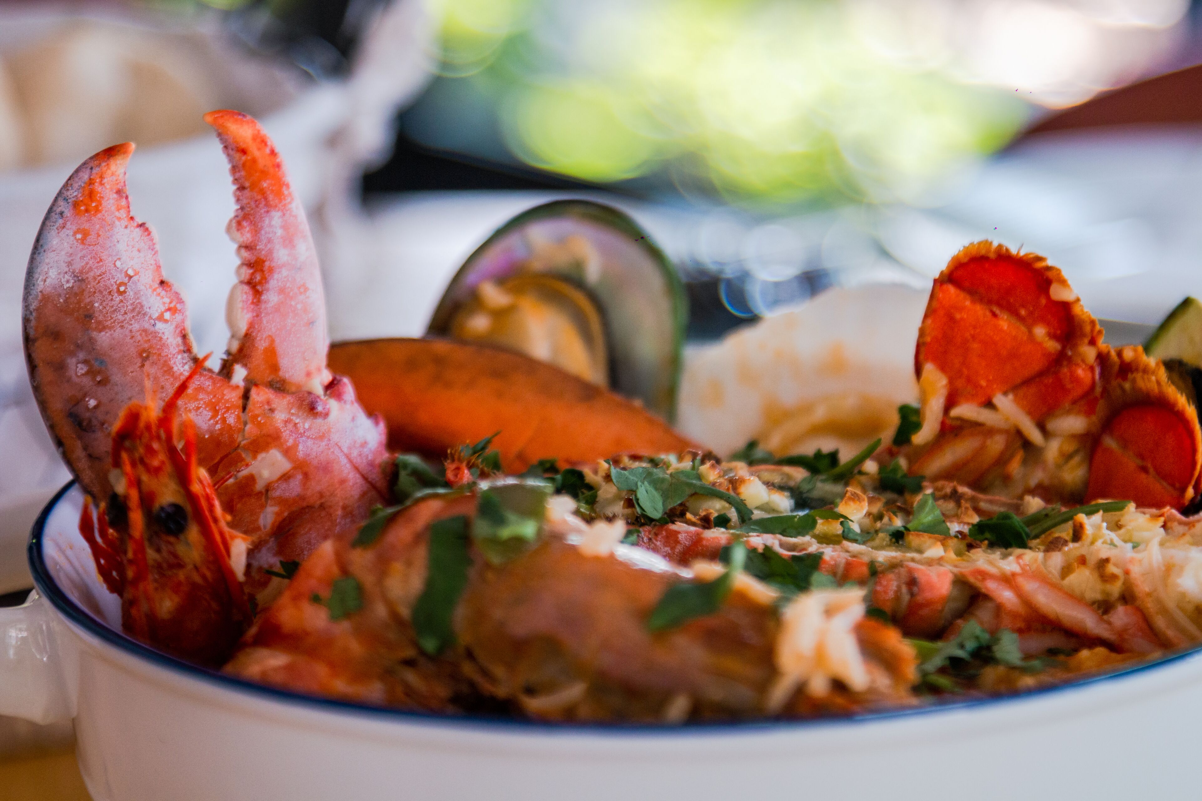 A bowl of lobster with herbs and vegetables.