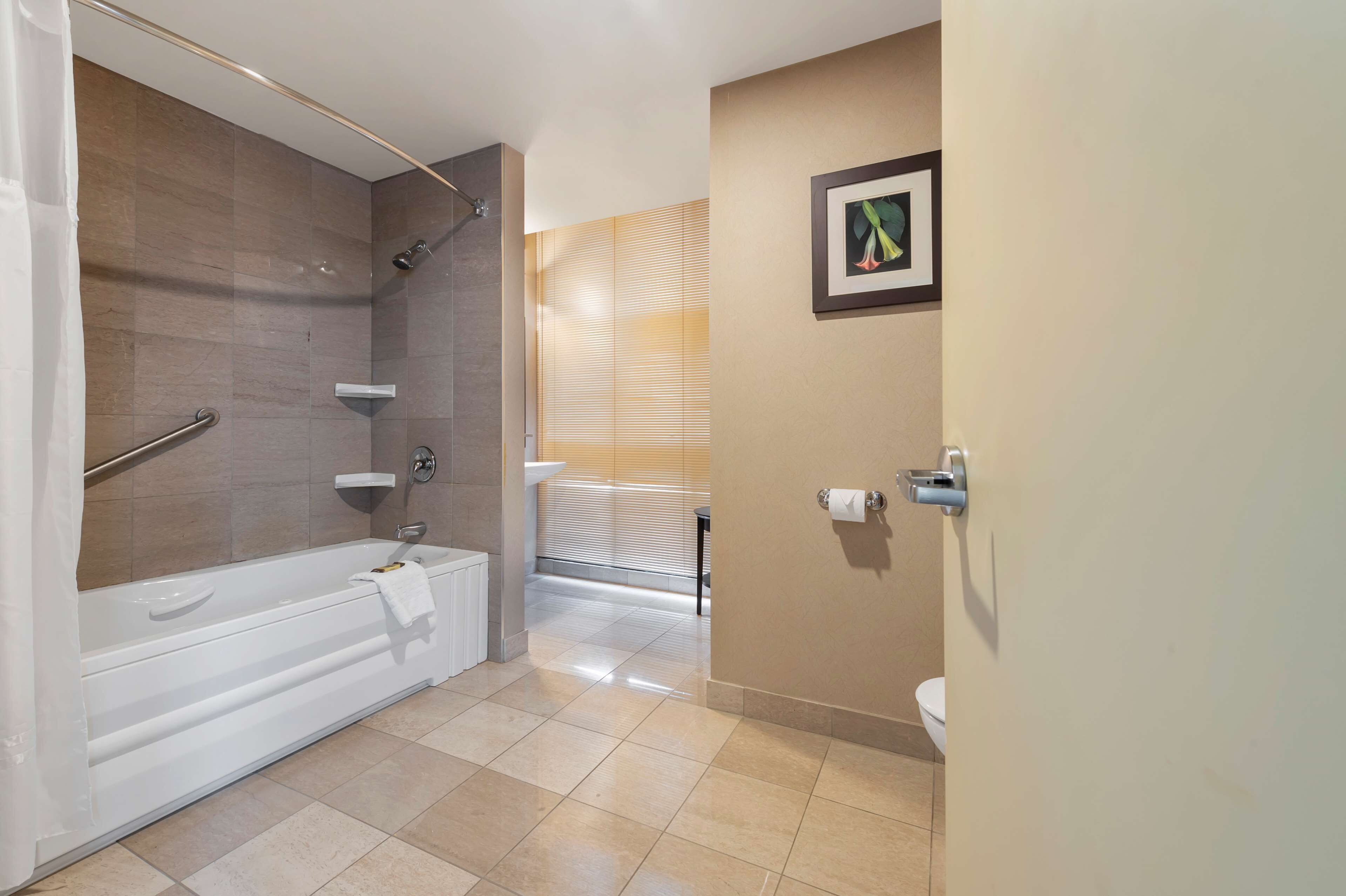 standard room, 1 king bed with sofa bed, non smoking, jetted tub (with sofabed) | bathroom | jetted bath, free toiletries, hair dryer, towels