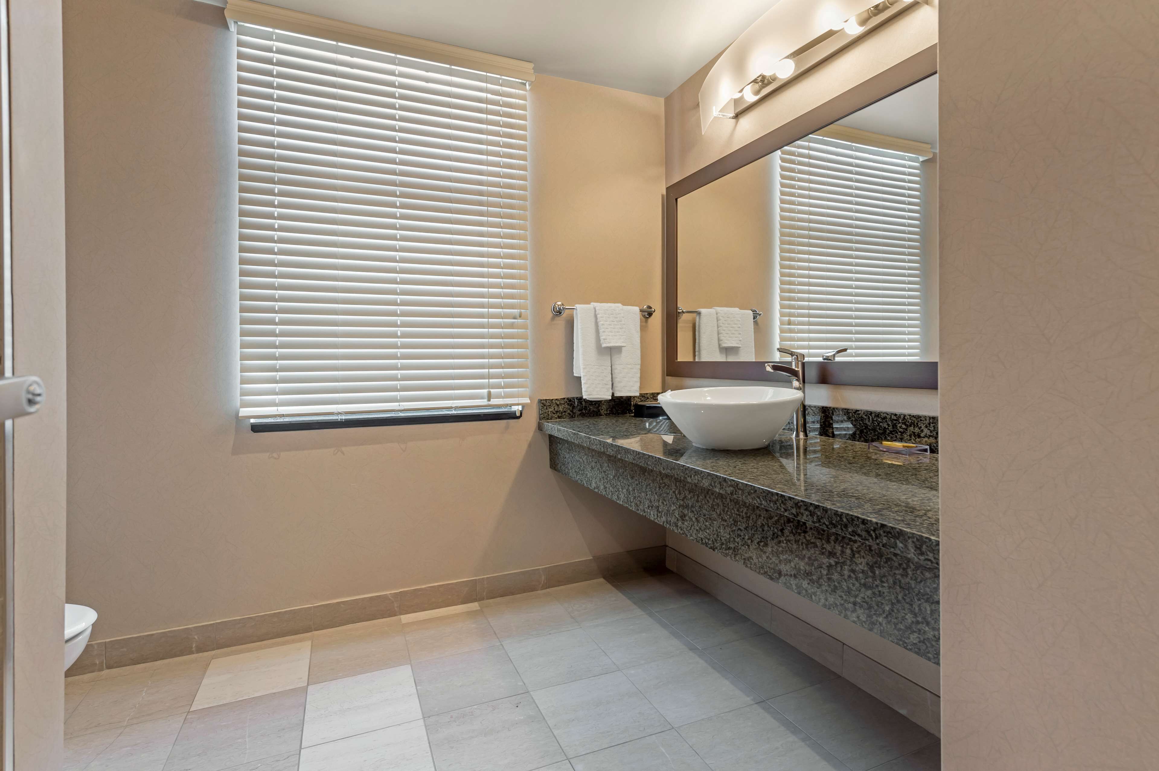 suite, 1 king bed with sofa bed, kitchenette, park view (with sofabed) | bathroom | jetted bath, free toiletries, hair dryer, towels