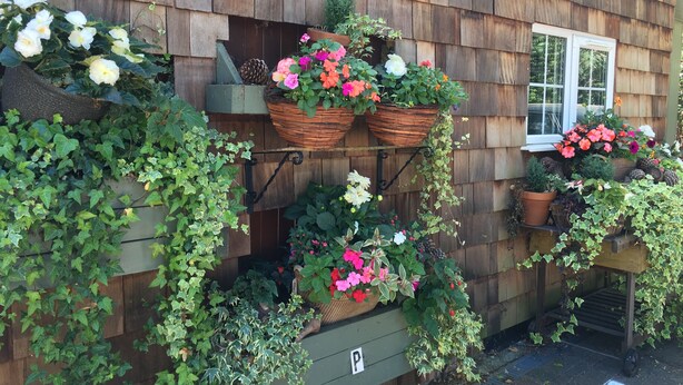 A wooden building with multiple flower baskets and potted plants on the exterior wall.