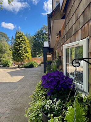 Front of property - Petherton Cottage Studios  (Ringwood)