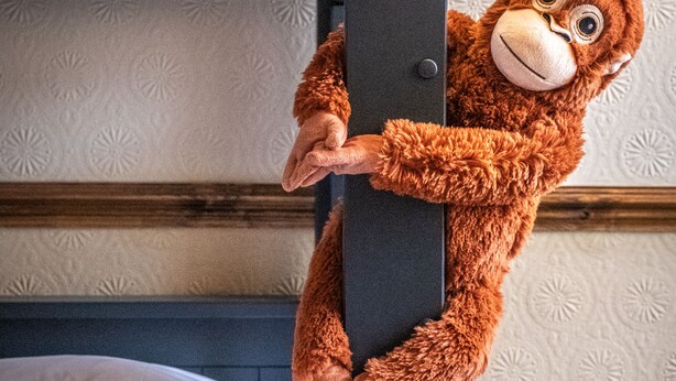A bunk bed with a plush monkey toy hanging from the top bunk.