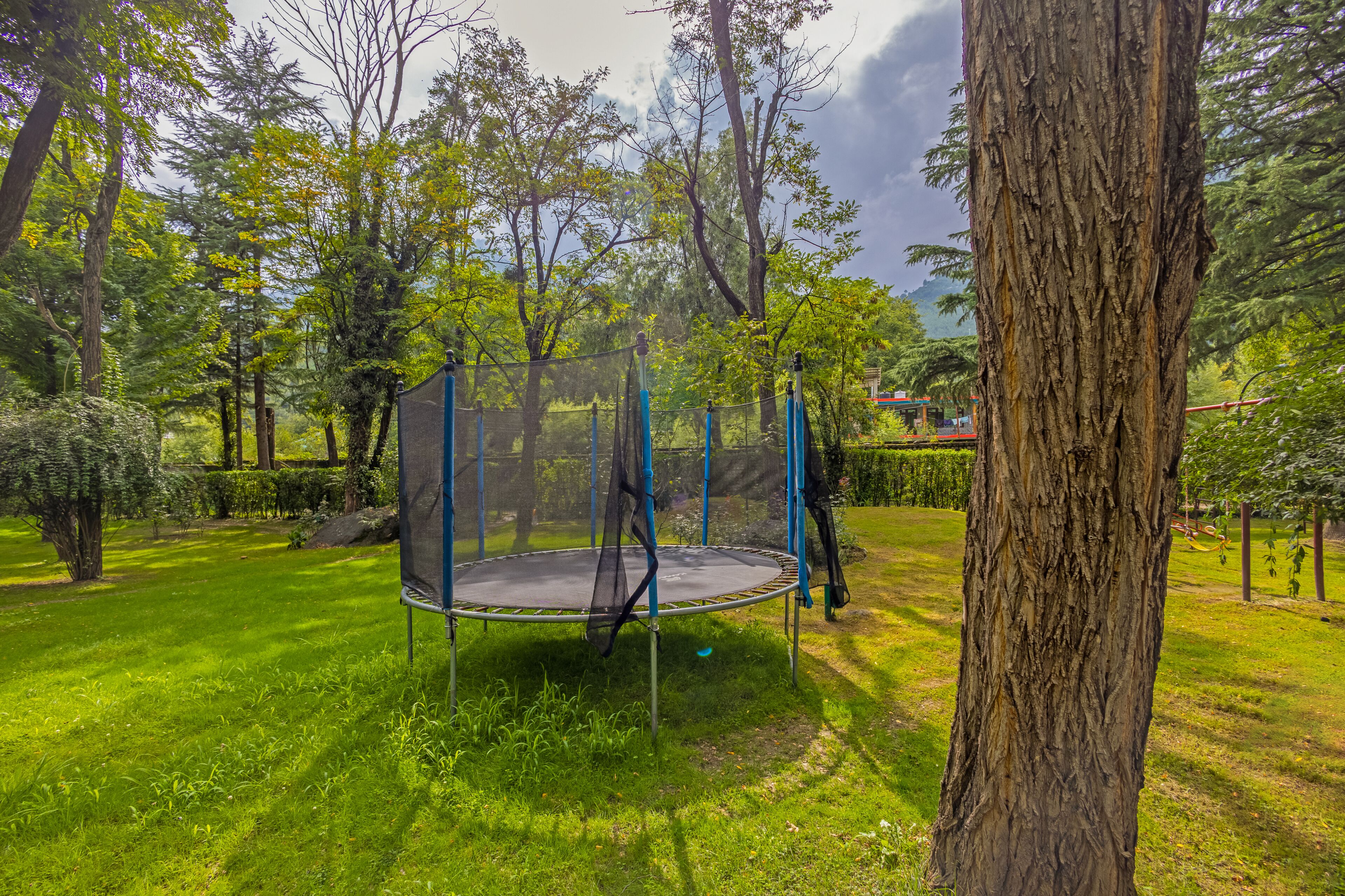 Un trampolín en un área verde con árboles y un edificio al fondo.