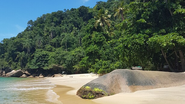 A beach with clear turquoise water, sandy shore, and lush green vegetation. - Cabanas Paraíso (Angra dos Reis)
