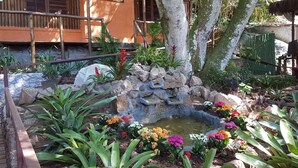 A garden with a pond, various plants, and a building with wooden shutters and a window. - Cabanas Paraíso (Angra dos Reis)