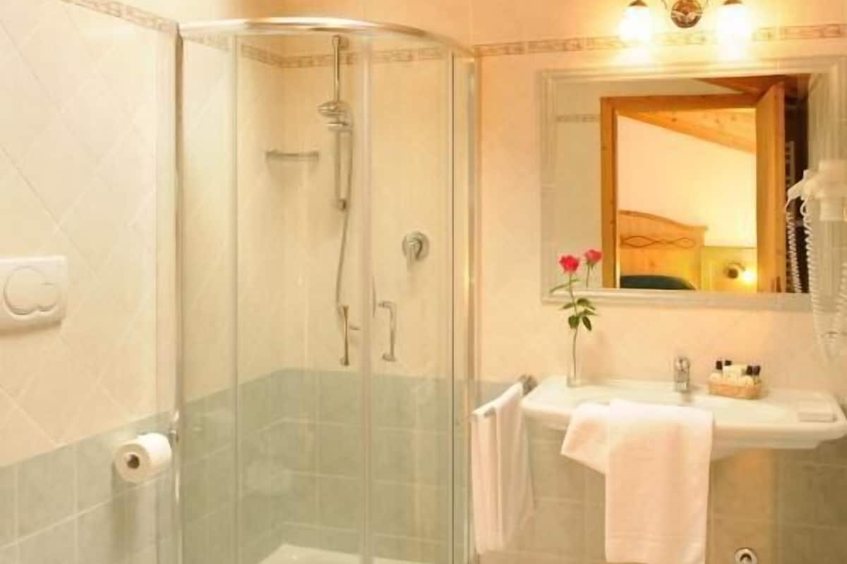 Shower, free toiletries, hair dryer, bidet