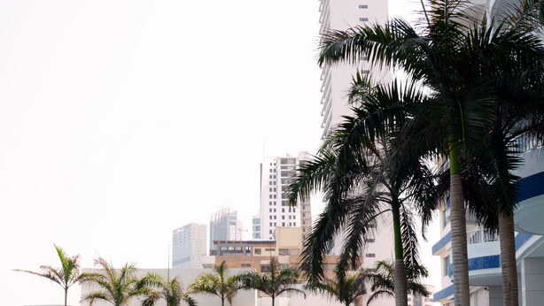 A swimming pool with lounge chairs and palm trees, surrounded by modern buildings. - Apartmentos Playa Palmetto (Cartagena)