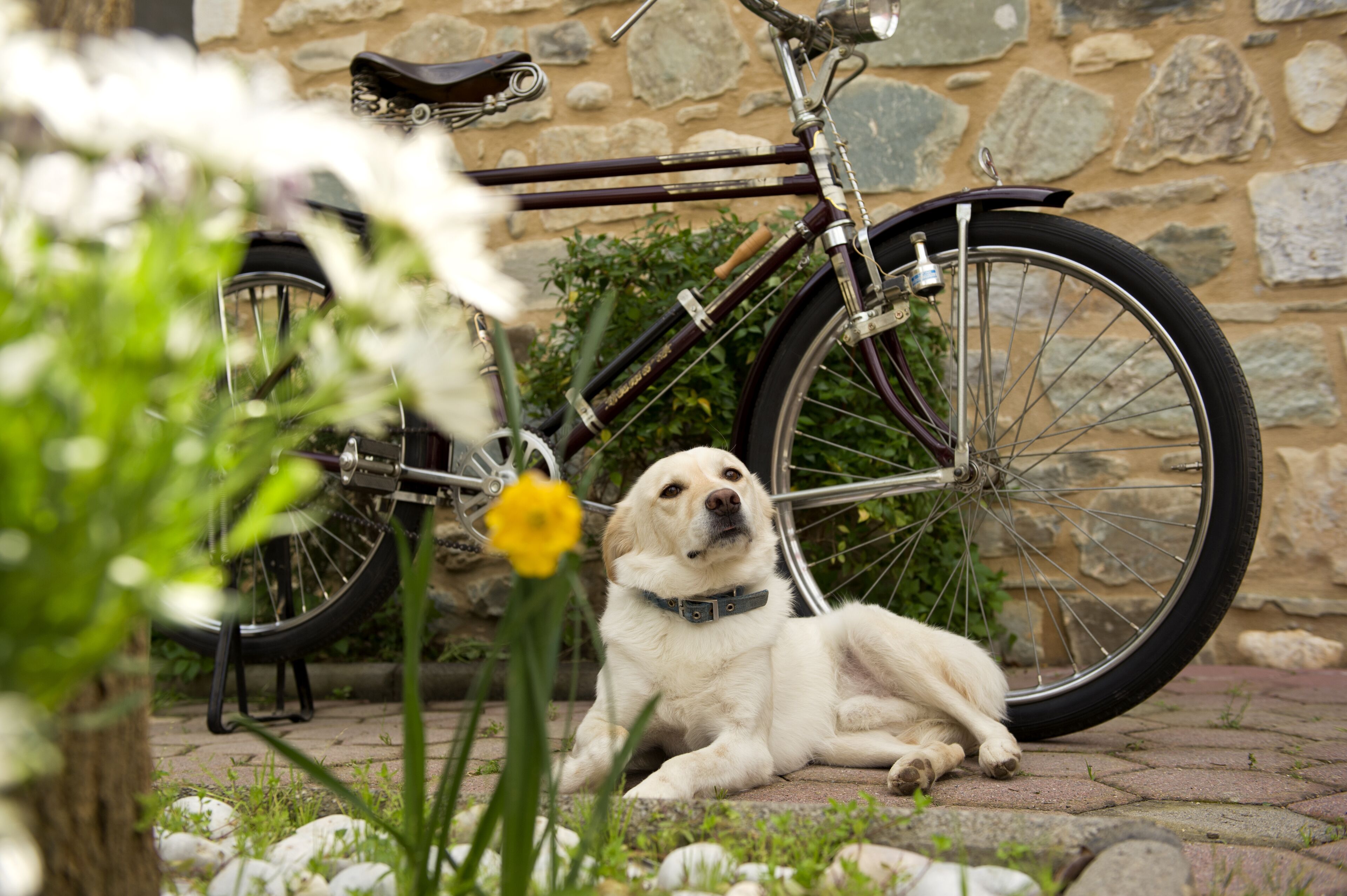 studio | view from room