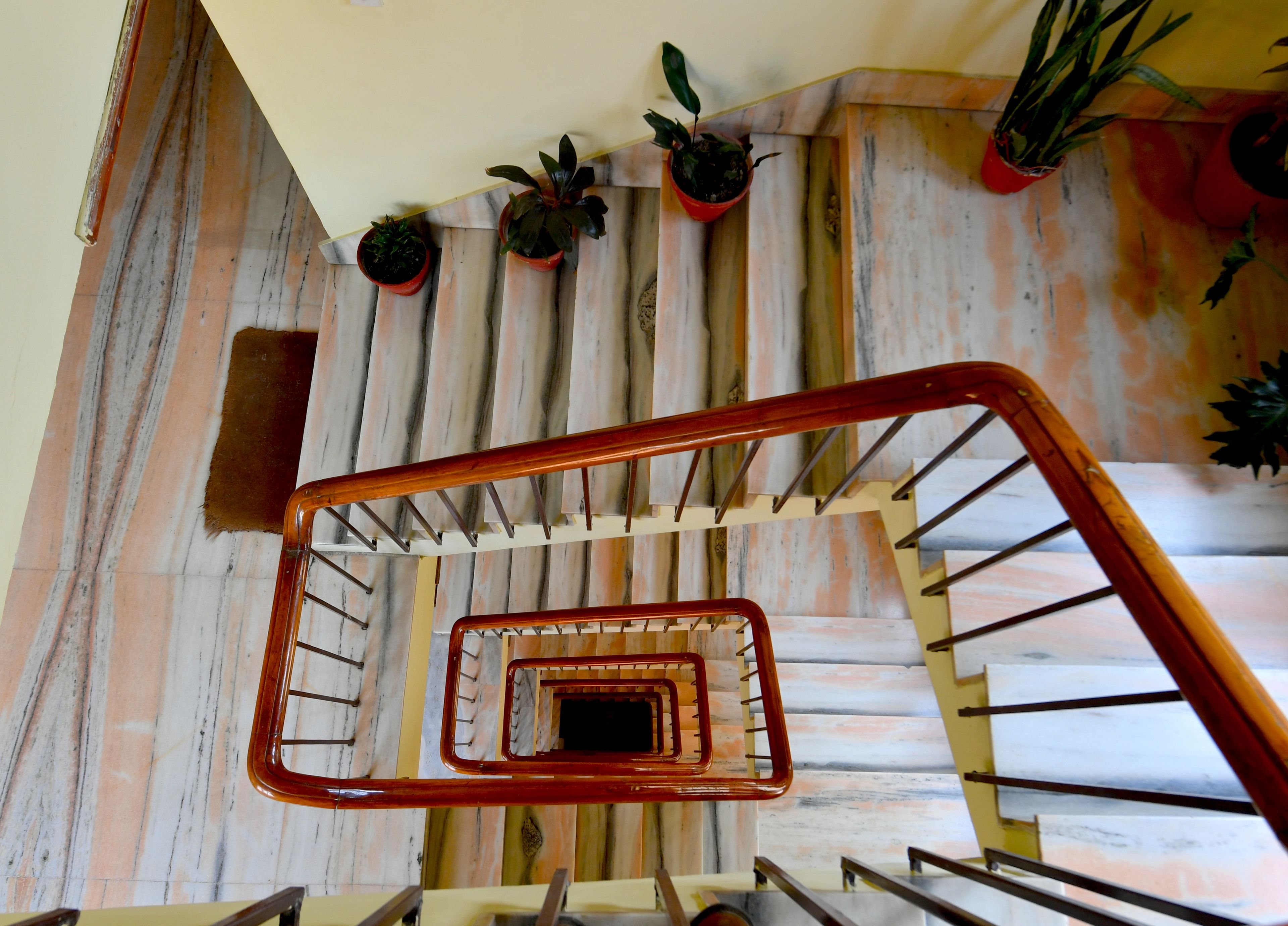 Photo - Hotel Excelsior