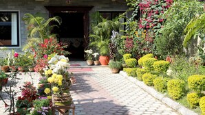 A hotel entrance with a sign reading "HOTEL ORCHID." There are potted plants and flowers in front of the entrance. - Hotel Orchid (Pokhara)