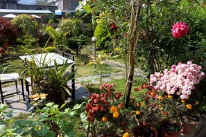 Tuin