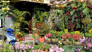 A hotel entrance with a sign reading "HOTEL ORCHID." - Hotel Orchid (Pokhara)