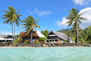 Property grounds - Manea Beach Villas (Rarotonga)