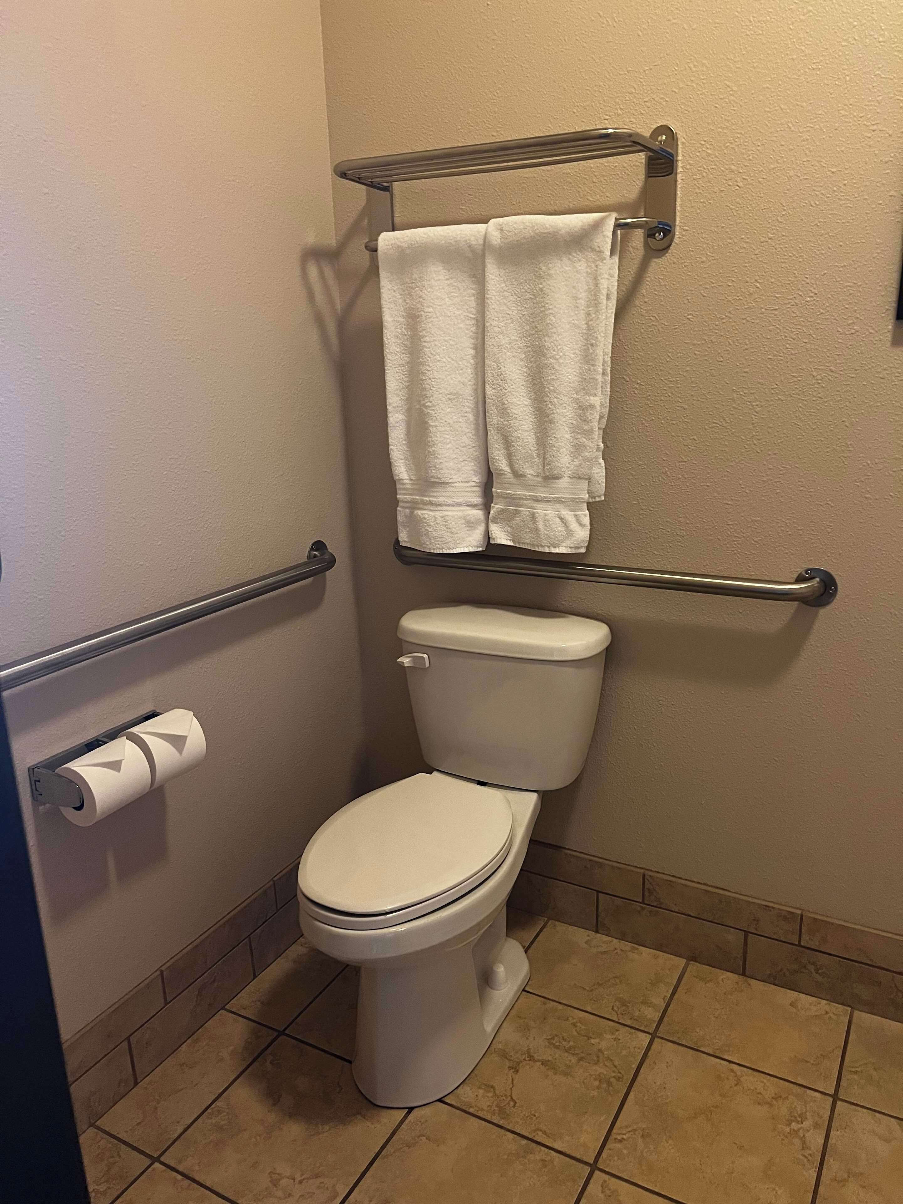 Une salle de bain équipée d’un WC, d’un porte-serviettes avec deux serviettes, d’une barre d’appui et d’un porte-rouleau de papier toilette.