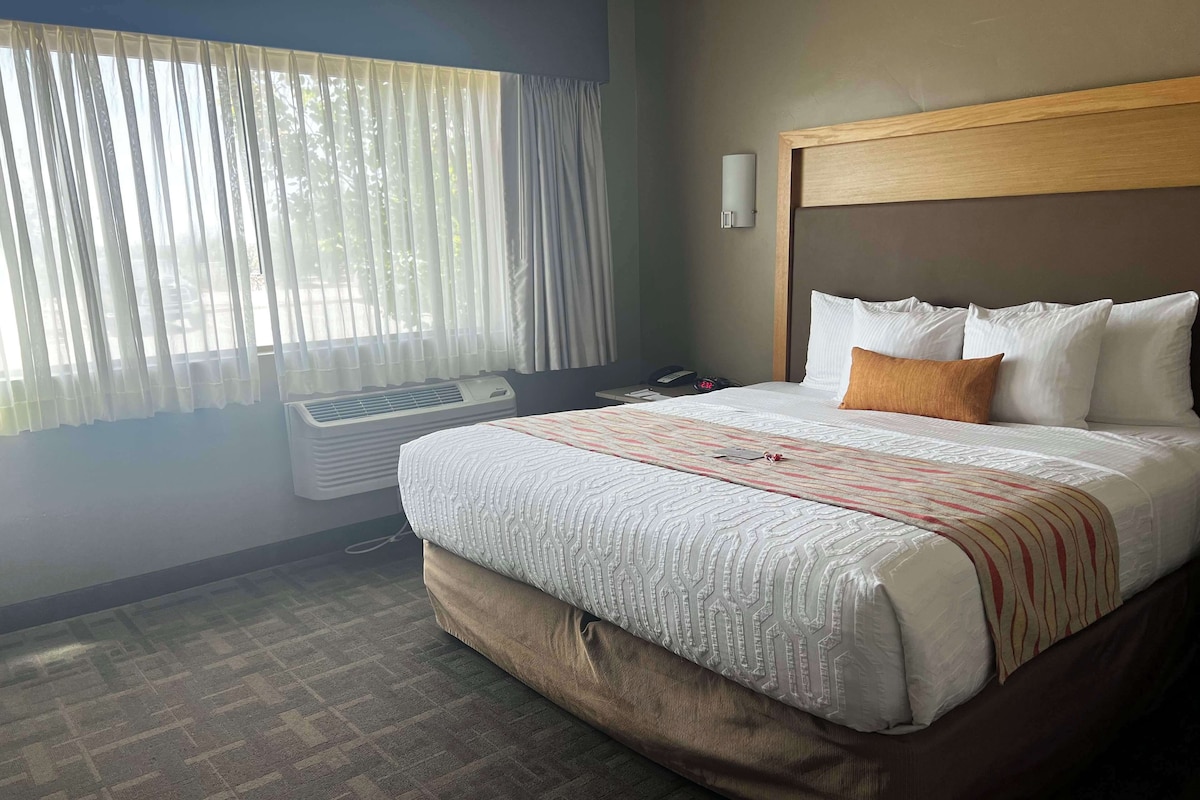 A hotel room with a large bed, a bedside table with a phone, and a window with curtains.