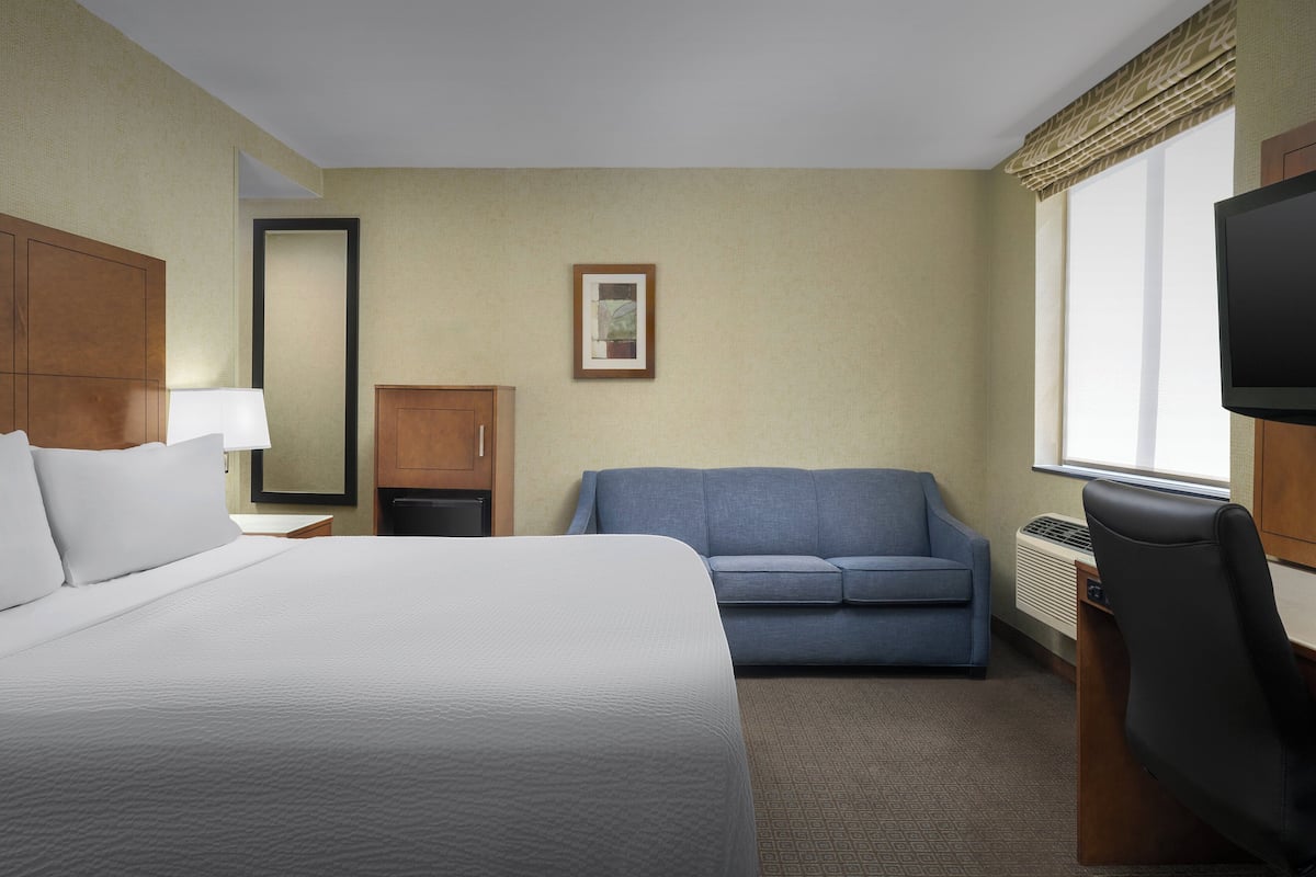 Standard Room, 1 King Bed with Sofa bed