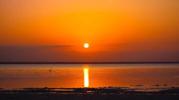 Ubicación a pie de playa, arena blanca, tumbonas y sombrillas