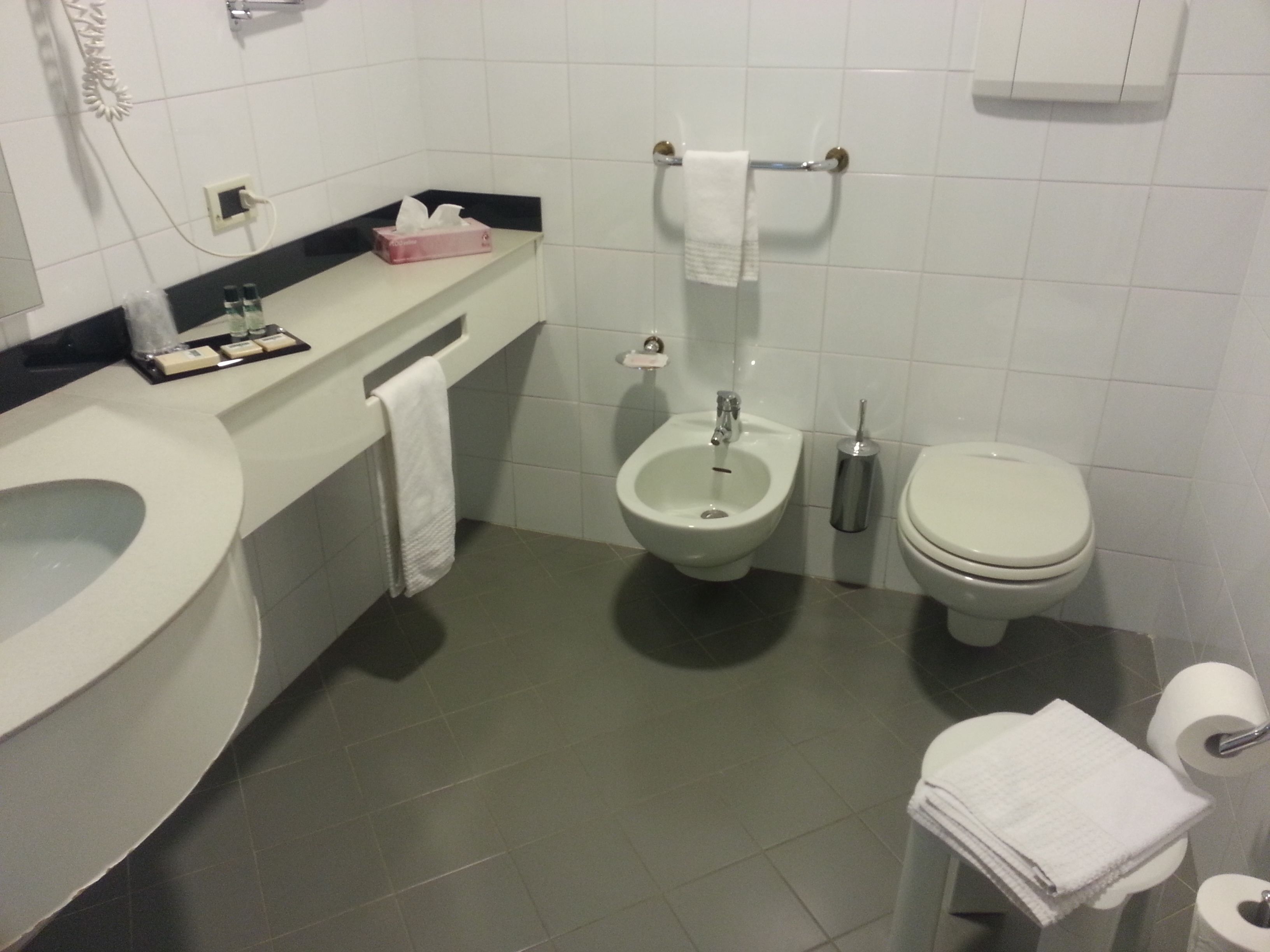 standard double or twin room | bathroom | shower, hair dryer, bathrobes, bidet