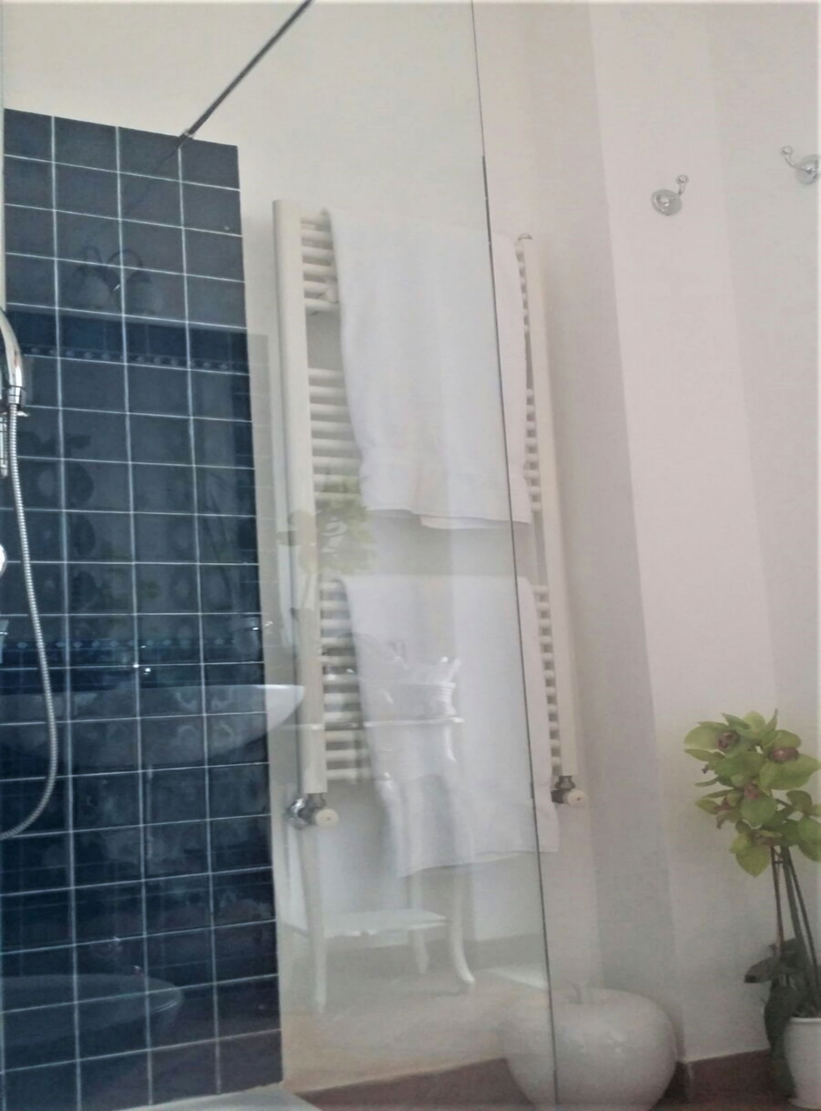 A glass-enclosed shower area with a white towel rack and a potted plant.