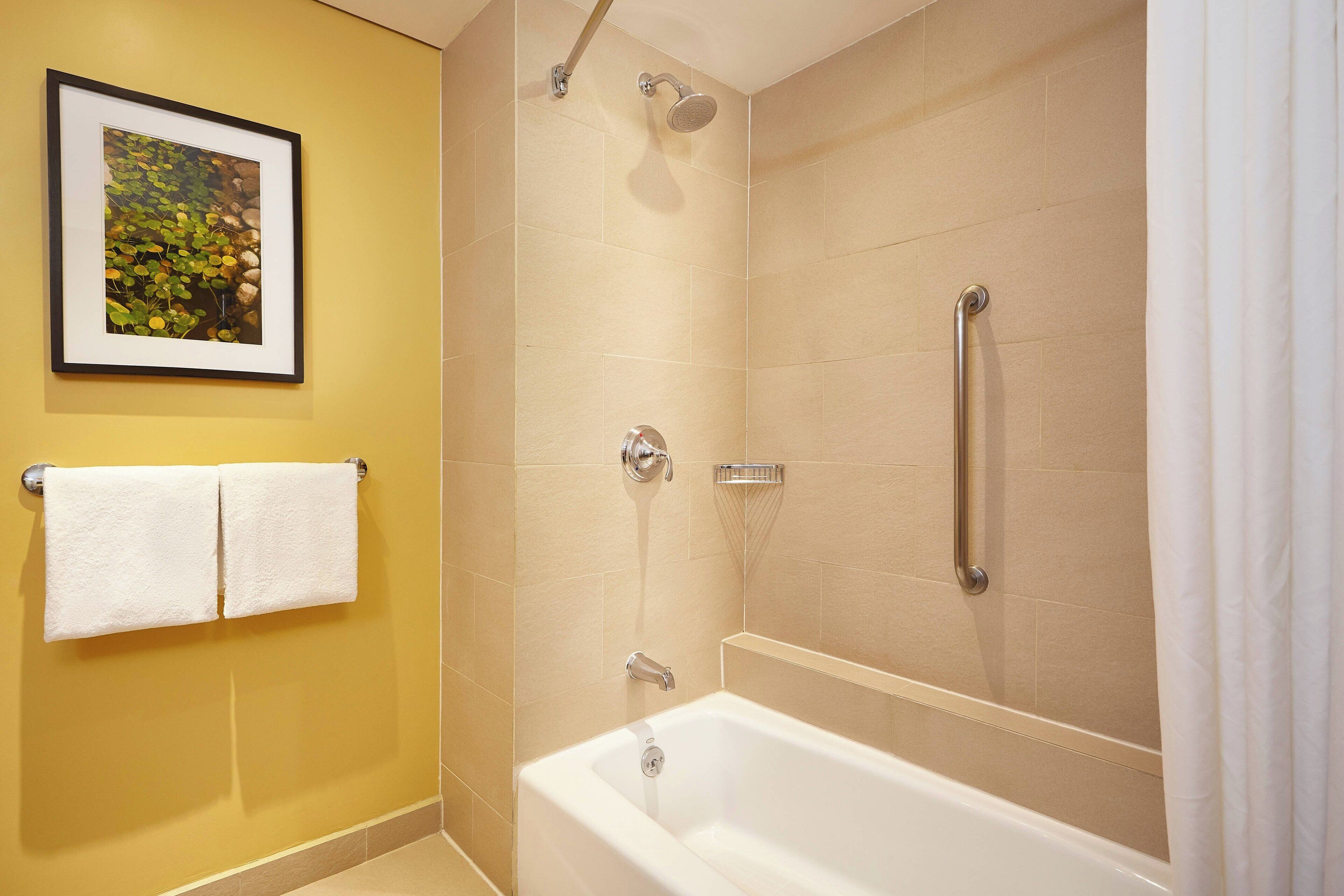 Une salle de bain avec une baignoire, une douche et un tableau encadré au mur.