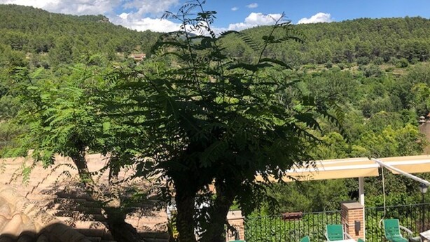View from property - Hotel Gil (Montanejos)