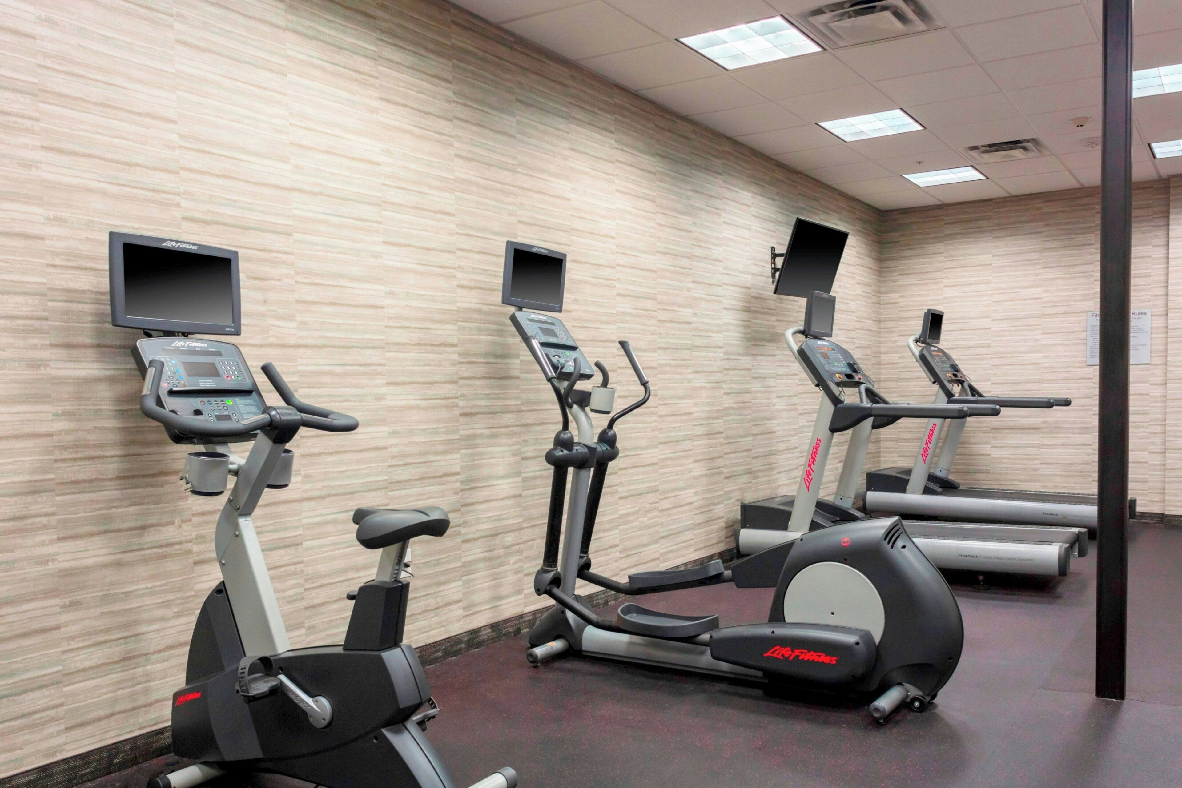 A gym with stationary bikes, treadmills, and a wall-mounted screen.