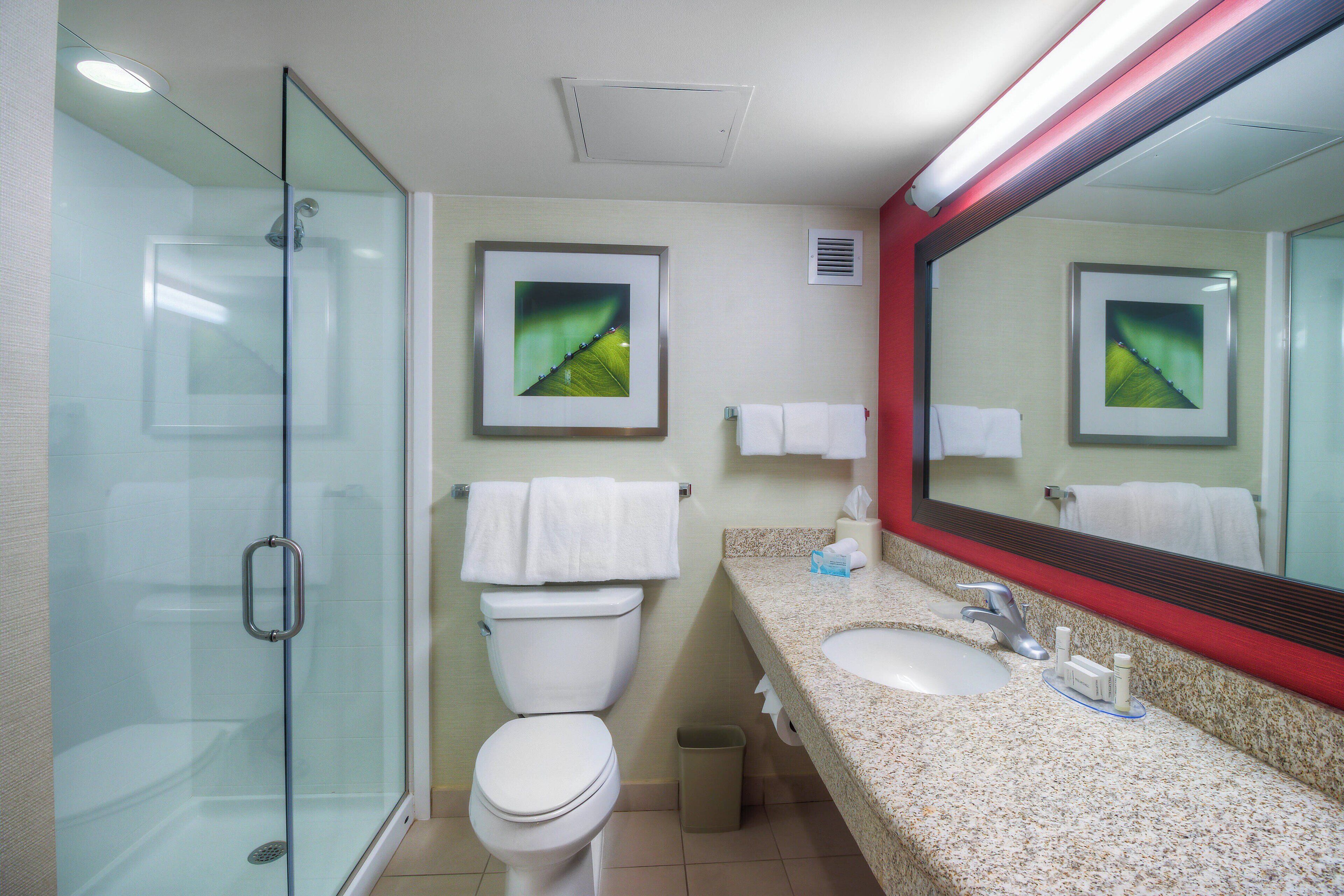 combined shower/bathtub, free toiletries, hair dryer, towels