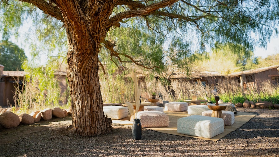 Our Habitas Atacama