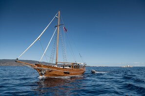 Boating - Bellevalia Hydra (Hydra)