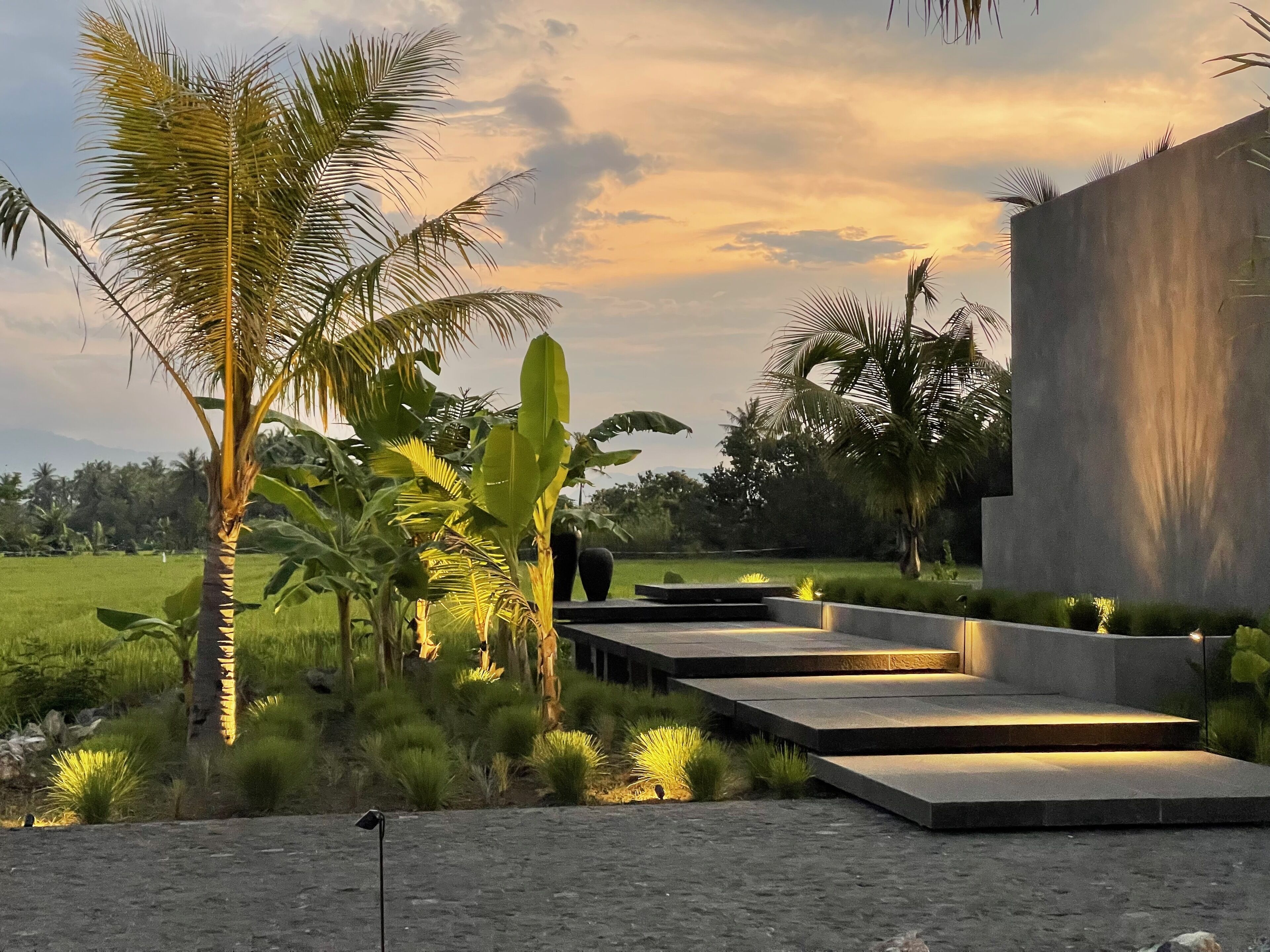 Un espacio exterior moderno con una estructura de hormigón, palmeras y un campo cubierto de césped.
