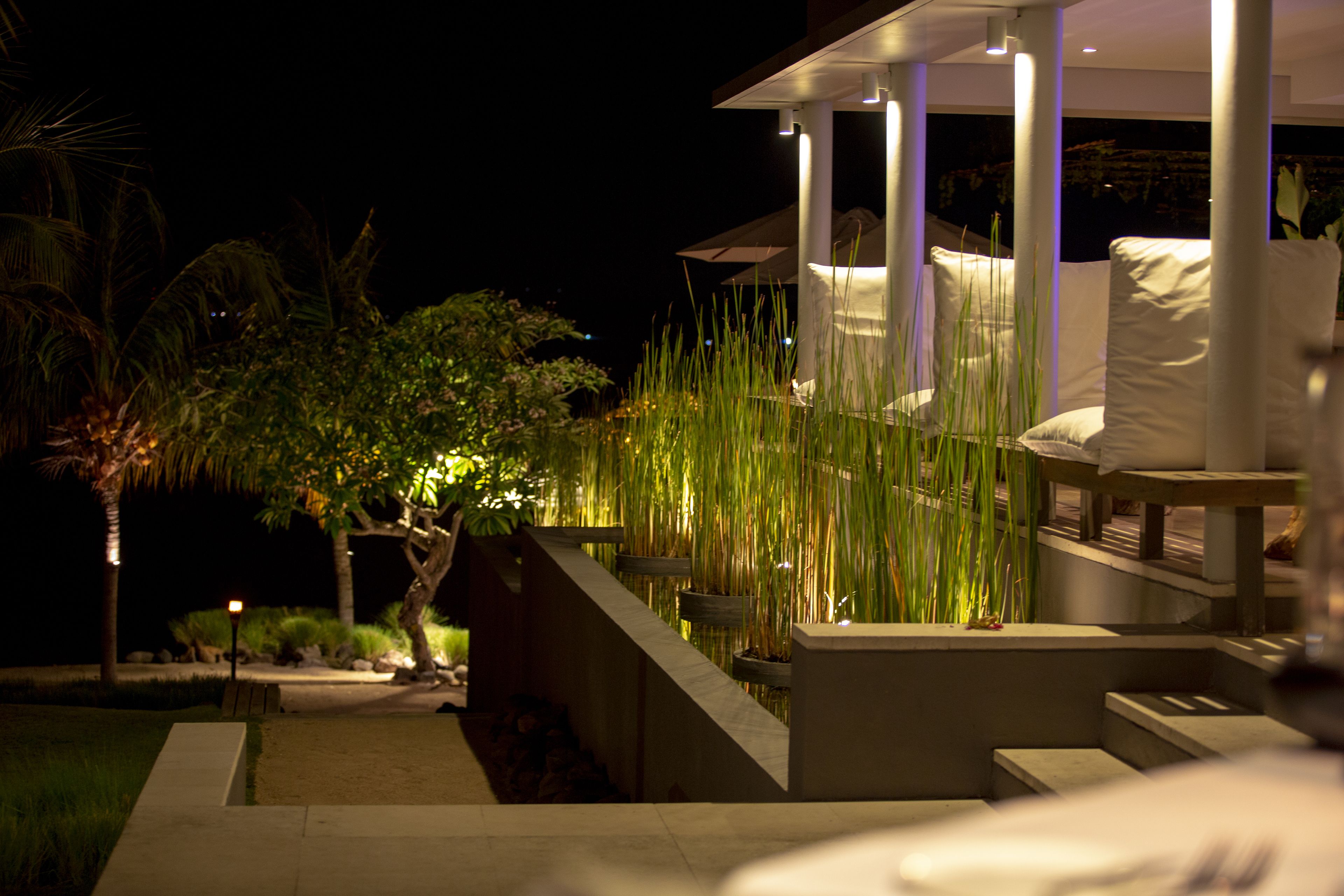 Un espacio lounge exterior moderno con un conjunto de asientos, una escalera y un jardín cuidado con hierbas altas y palmeras.
