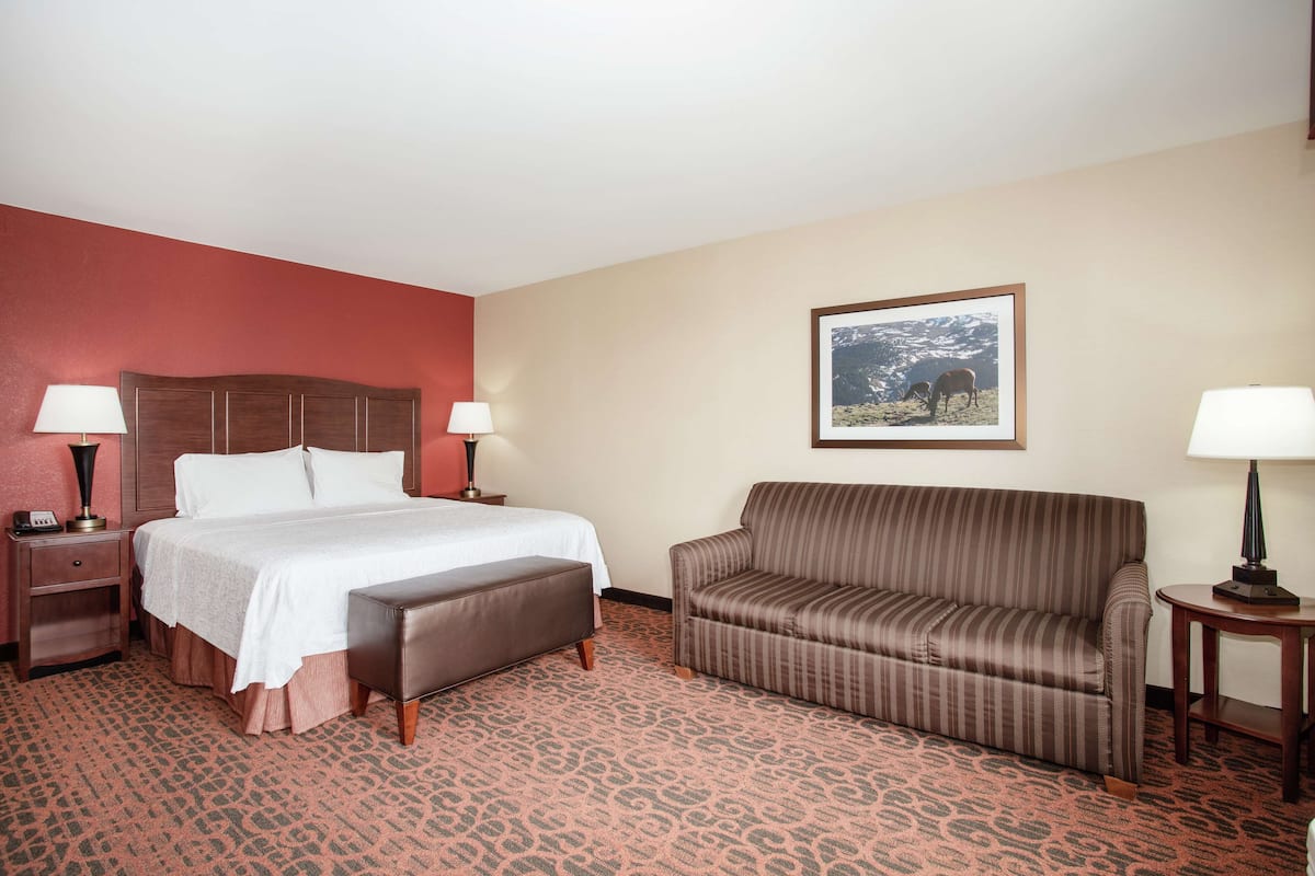 One King and One Sofa Bed, Non-Smoking | Living area | 55-inch LCD TV with satellite channels, TV