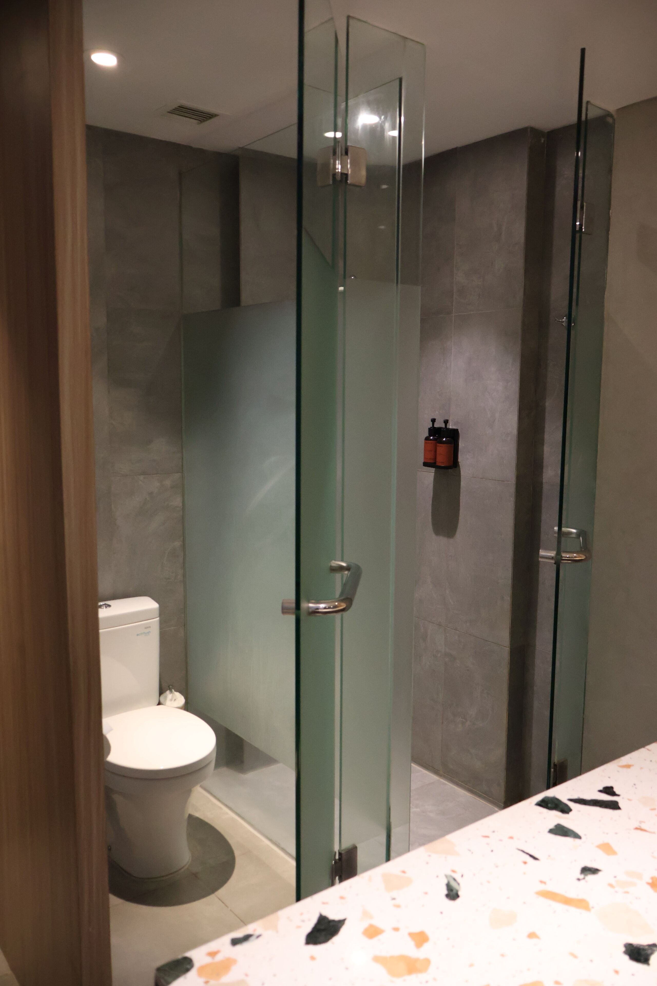 A modern bathroom with a glass-enclosed shower, a toilet, and a terrazzo floor.