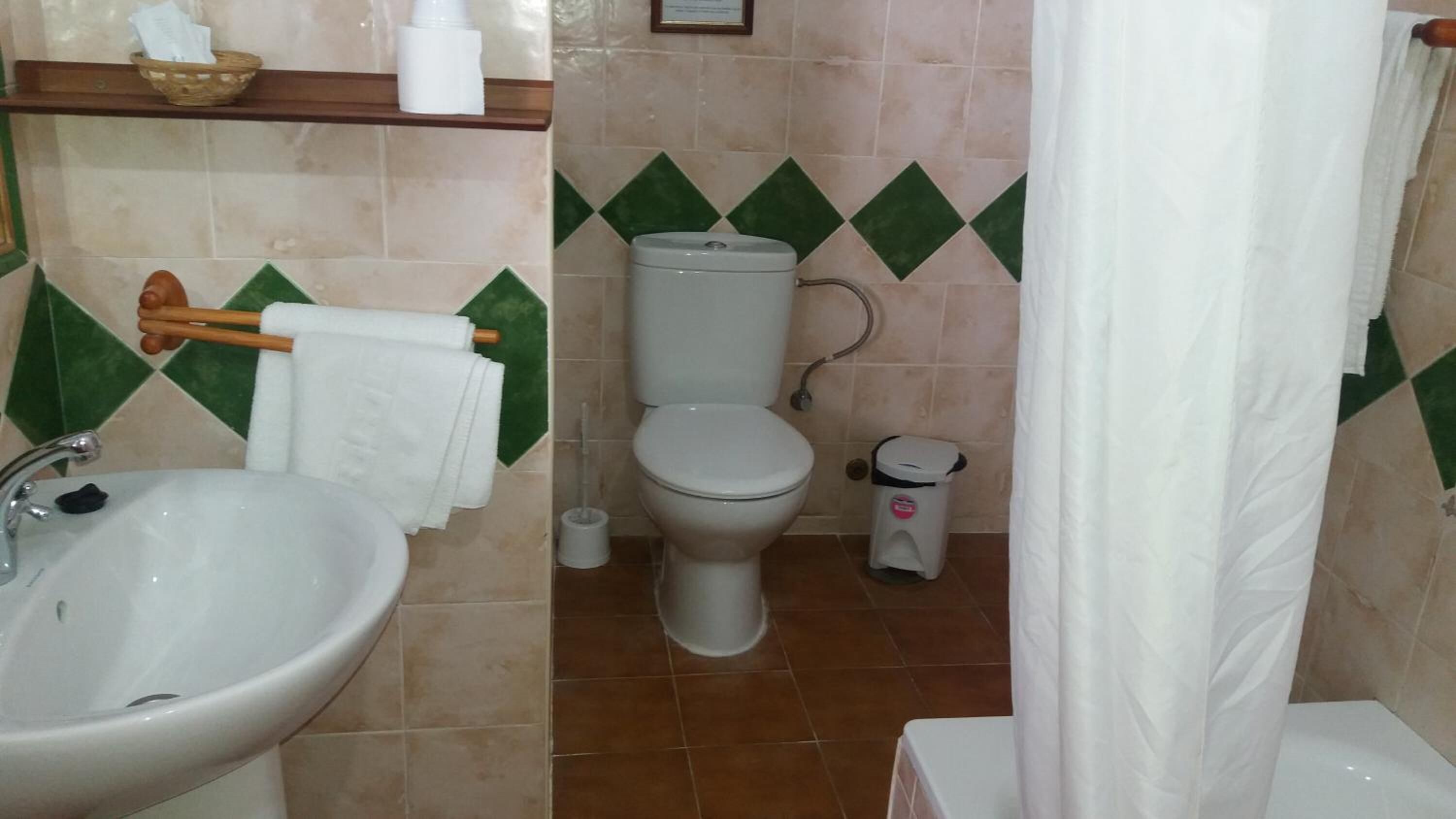 combined shower/bathtub, free toiletries, hair dryer, bidet