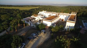 Stunning building with a traditional architectural style, surrounded by lush greenery and palm trees.