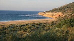 A coastal landscape with a beach, vegetation, and a hill with a structure on top.