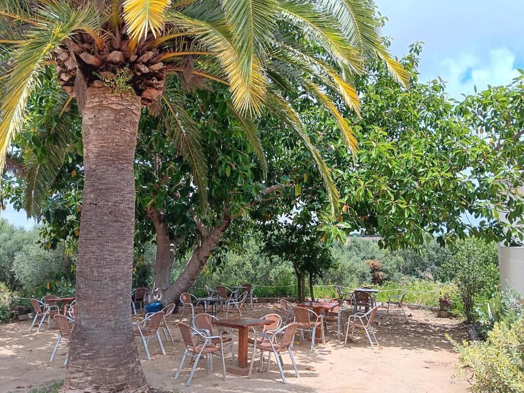 Un espacio al aire libre con mesas y sillas, rodeado de árboles y vegetación.