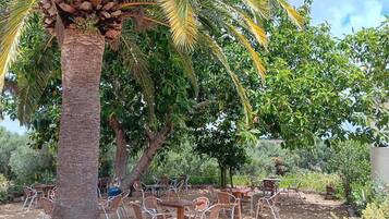 Un espacio al aire libre con mesas y sillas, rodeado de árboles y vegetación.