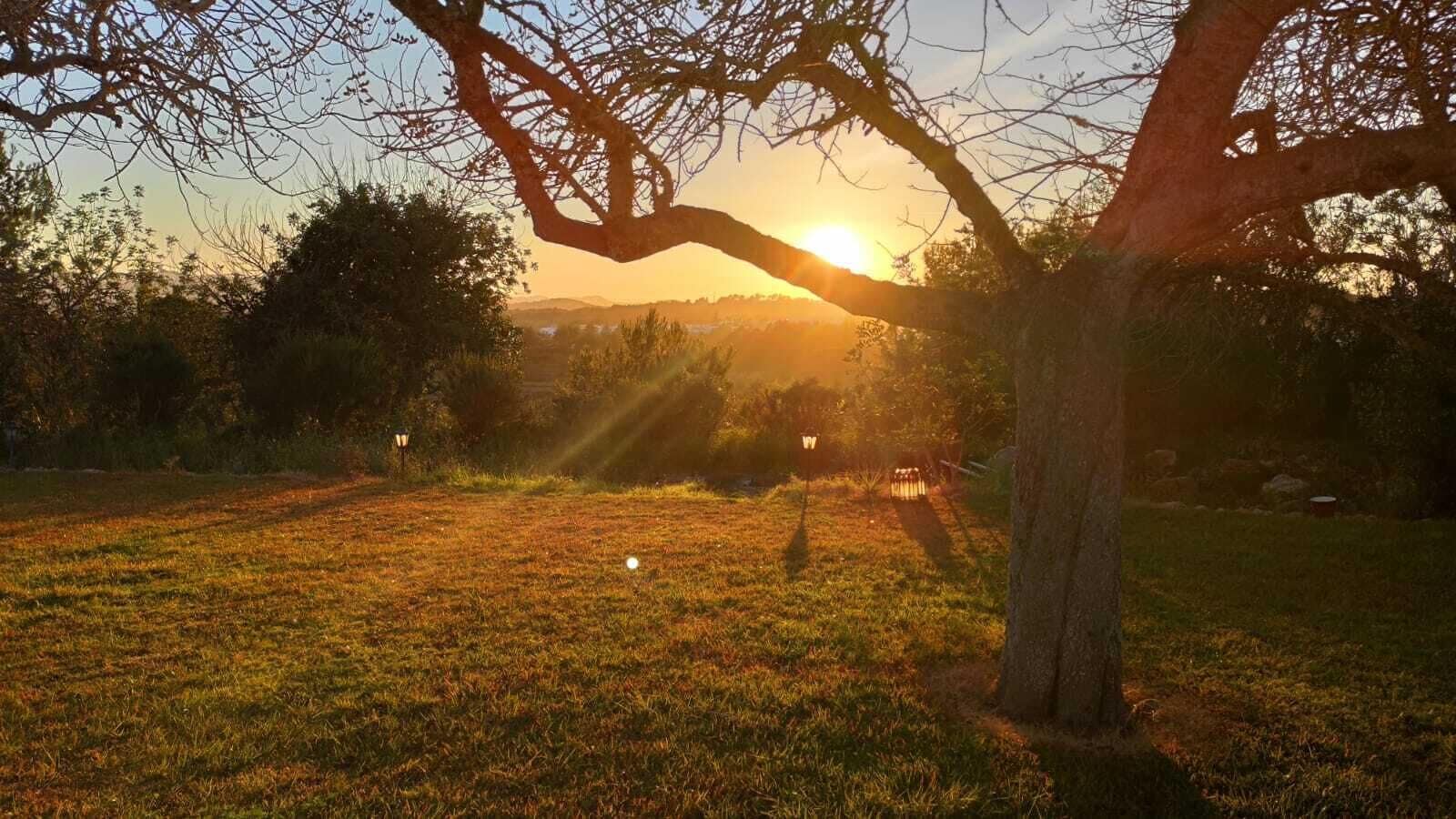 Foto - Agroturismo Can Marquet - Adults Only