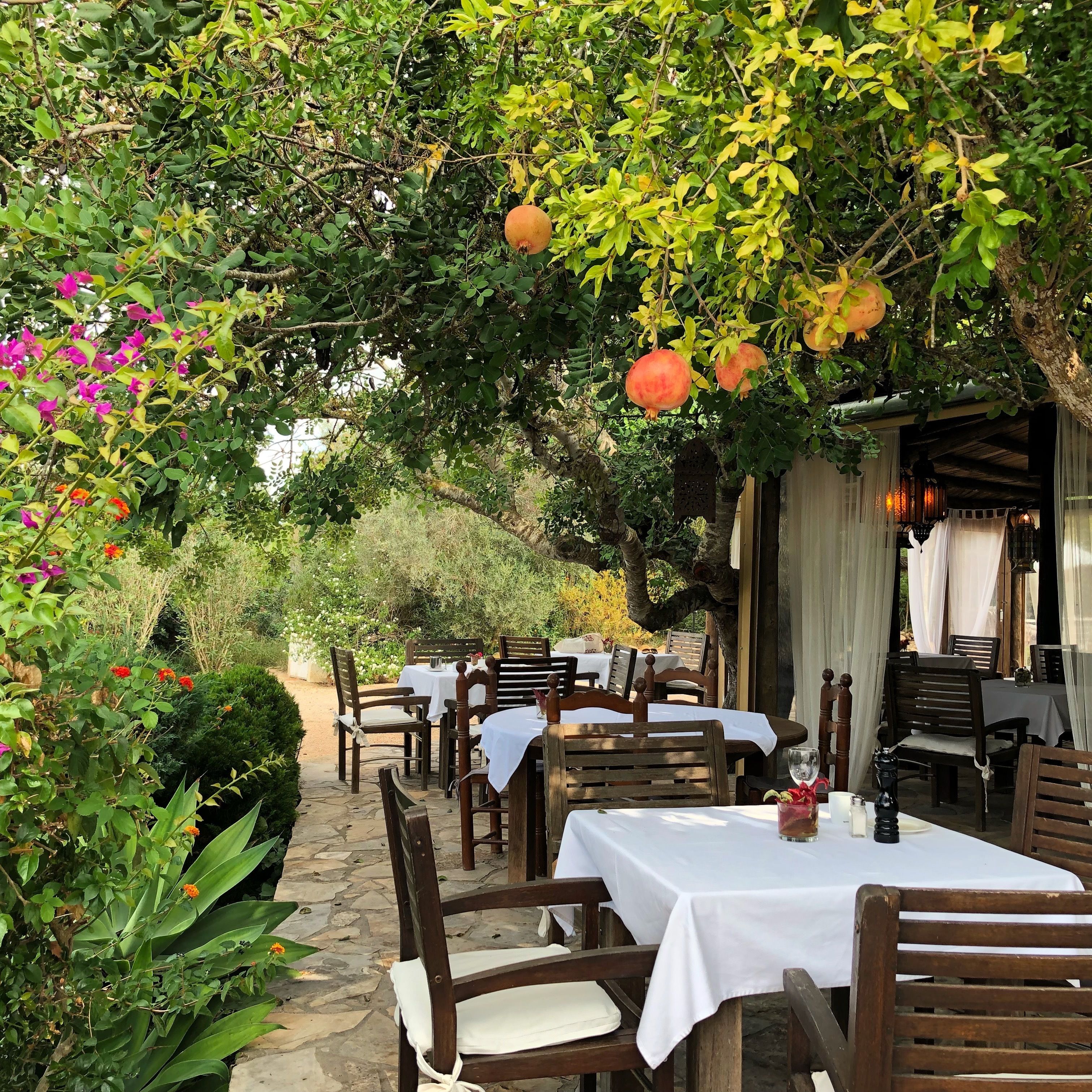 Foto - Agroturismo Can Marquet - Adults Only