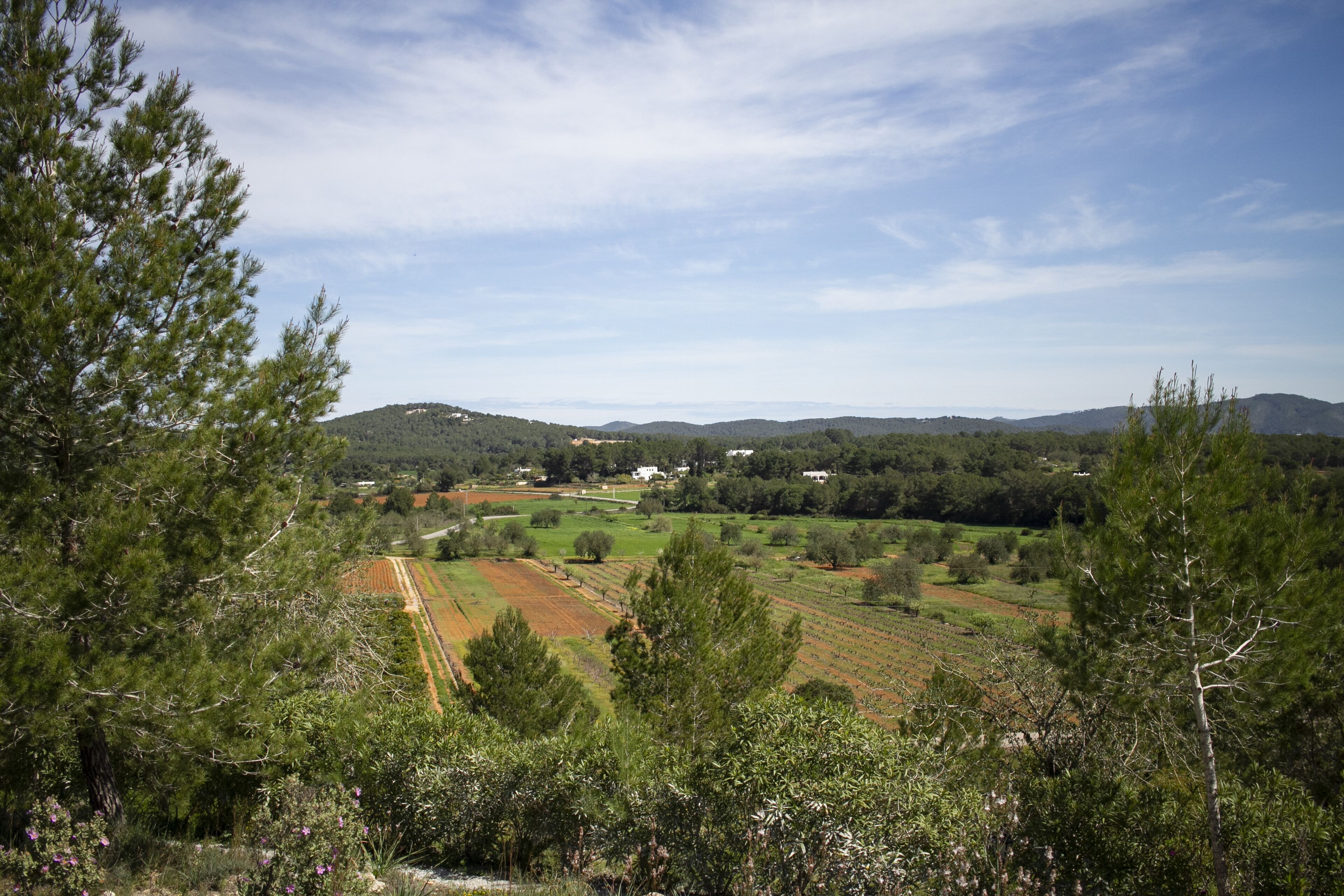 Foto - Agroturismo Can Marquet - Adults Only