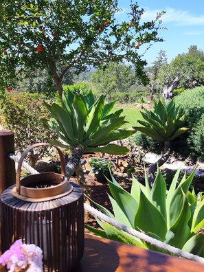 Exterior - Agroturismo Can Marquet (Santa Eulalia del Rio)