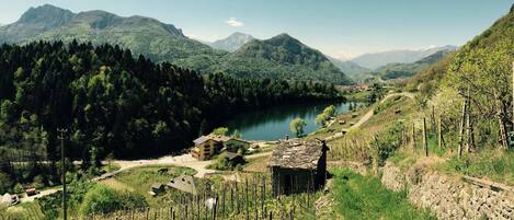 A vineyard with a stone house and a lake surrounded by mountains.