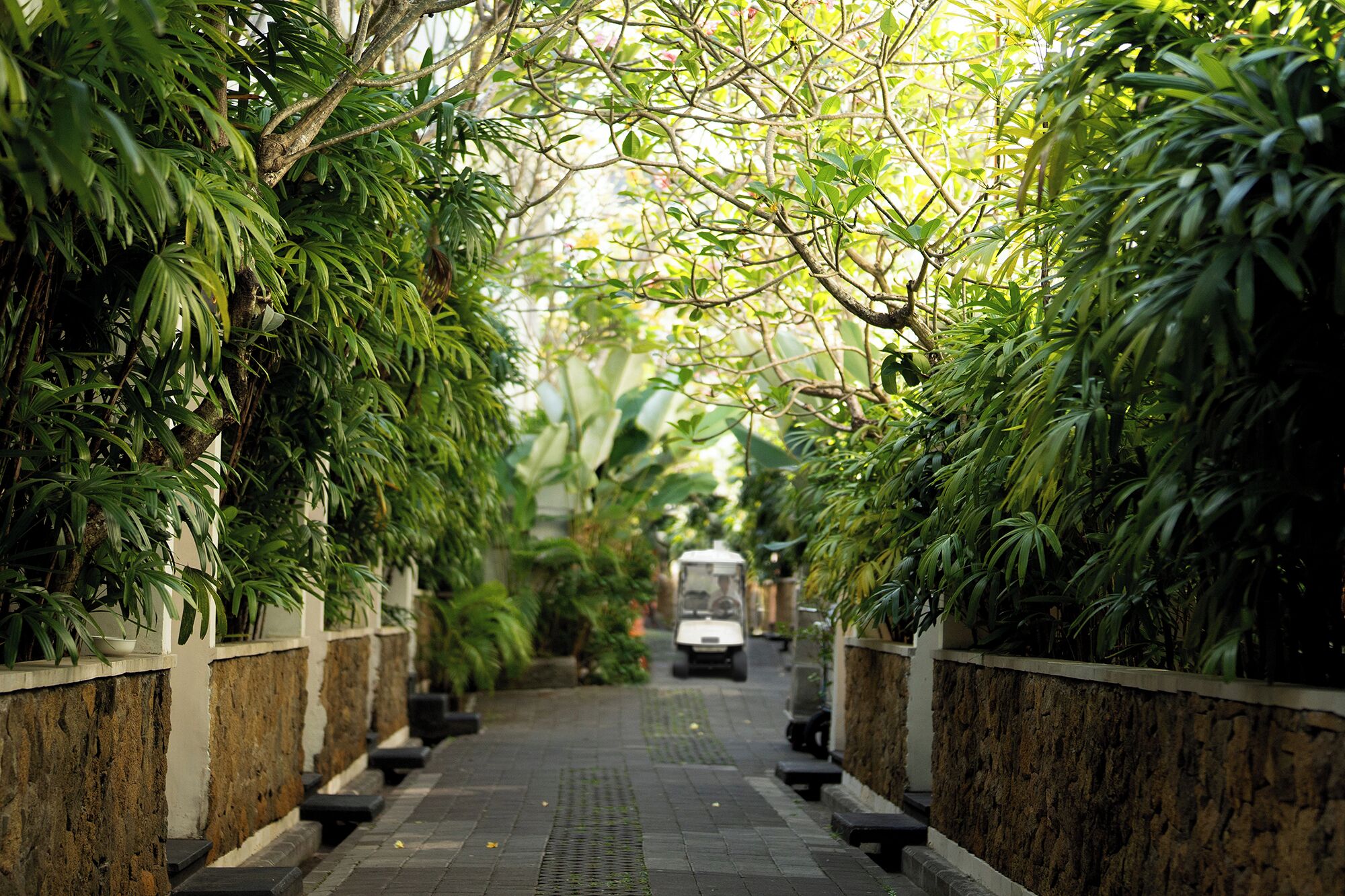 A pathway lined with lush greenery and stone walls, leading to a distant vehicle.