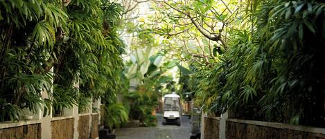 A pathway lined with lush greenery and stone walls, leading to a distant vehicle.