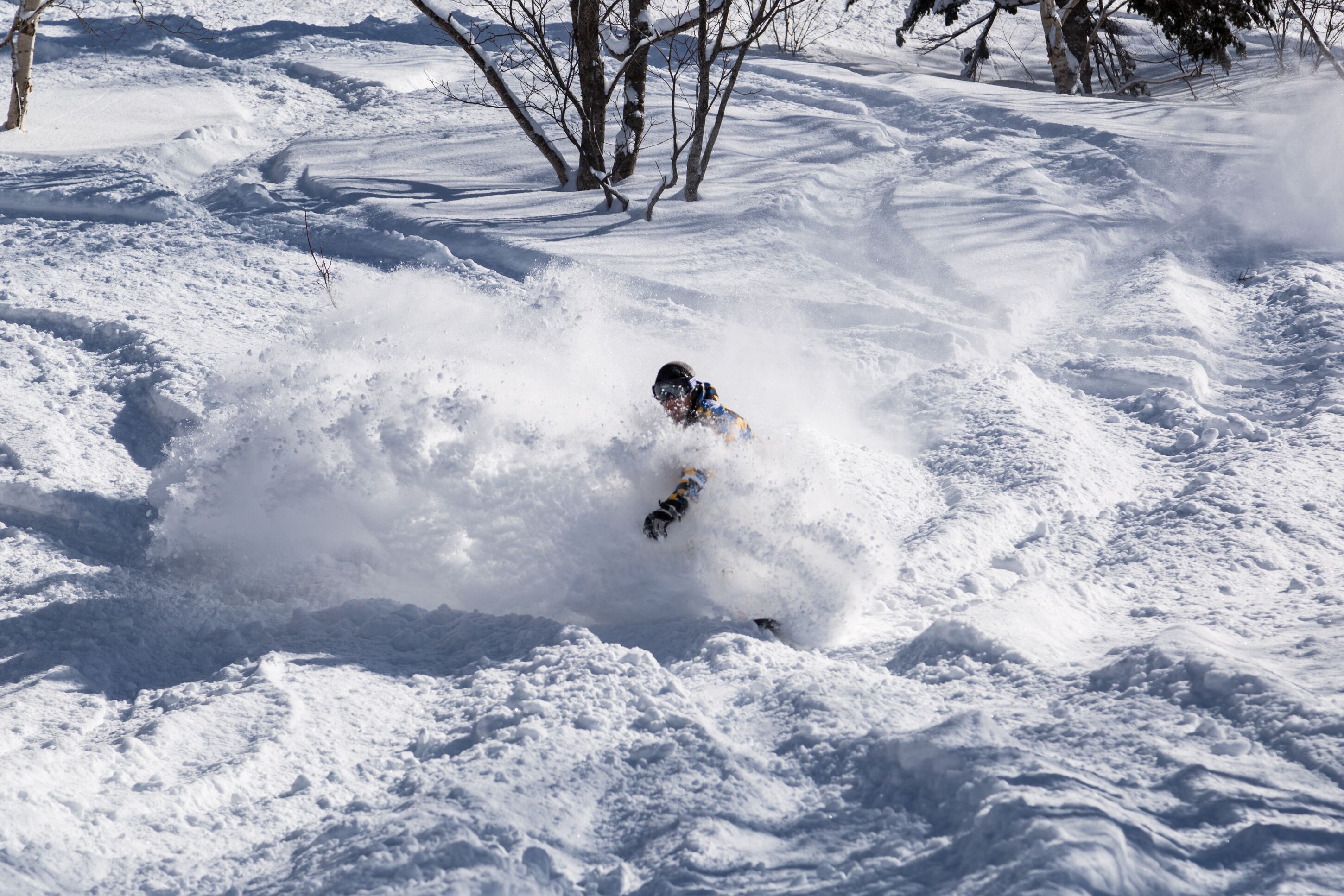 A snowy landscape with a person skiing.
