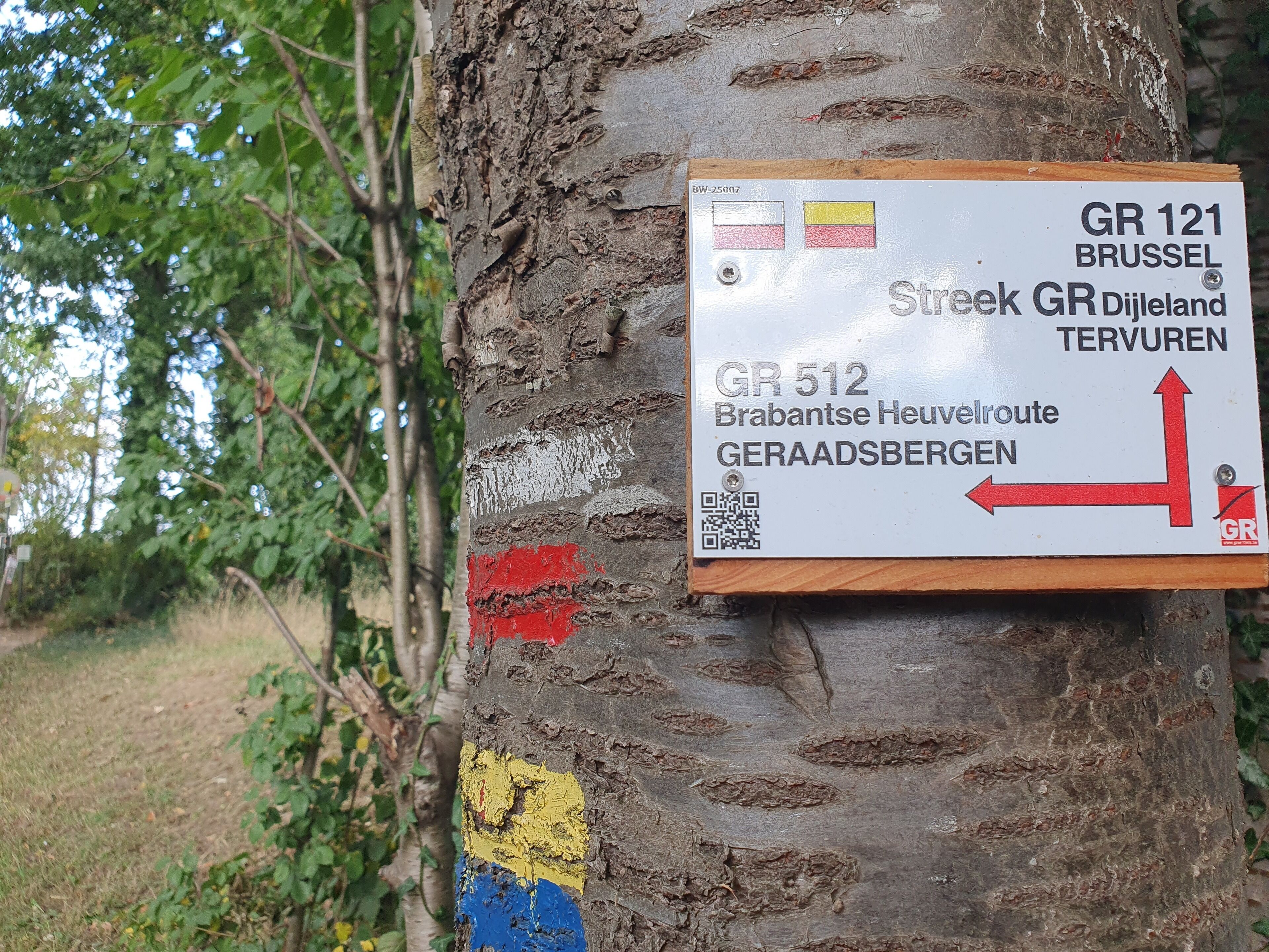 A directional sign attached to a tree with a QR code, indicating GR 121 Brussels and GR 512 routes.
